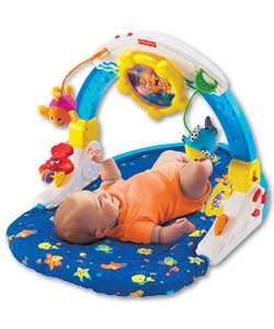 OCEAN Wonders Rocking Aquarium Playgym