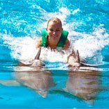 OCEAN World plus Dolphin Swim with Transport -