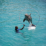 Worldandrsquo;s Adventure Park with Transport - Adult