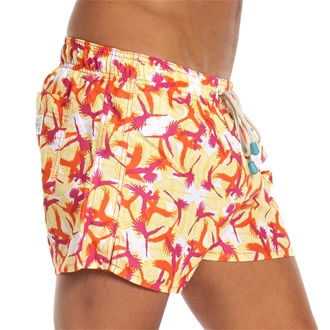 Parrot Swim Shorts