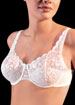 Shimmerlace full-figure underwired bra
