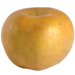 Olivier Lelut Chanteclerc Apple