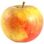 Olivier Lelut Pomme Reine de Reinette