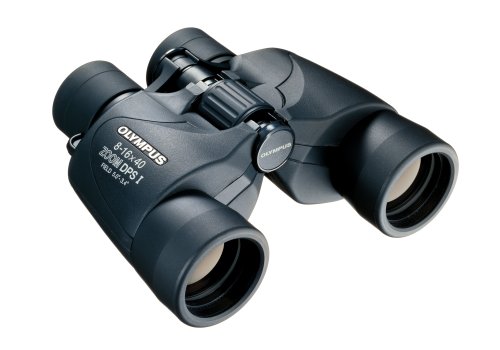 Olympus DPS I Binoculars 8-16 x 40 - zoom - porro