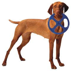 Paw Orbit Flying Disc