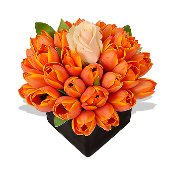 One and Only - flowers