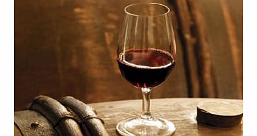 One Day Basic Wine Course for One (Saturdays)