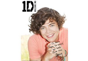 Direction Personalised Poster - Harry