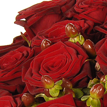 flowers roses red. one Hundred Red Roses Bouquet