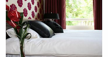 One Night Break in a Superior Room at Episode