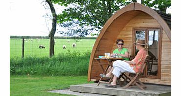 One Night Super Pod Camping Break at Woodovis Park