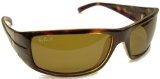 onlinesunspecs Ray Ban Sidestreet Sunglasses Model 4057 Natural Brown (Avana) Frame with Polarized Brown Lenses - B