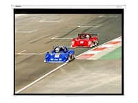 OPTOMA Panoview DS-3100PMS