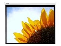 OPTOMA Panoview Pull Down Manual DS-3084PMS