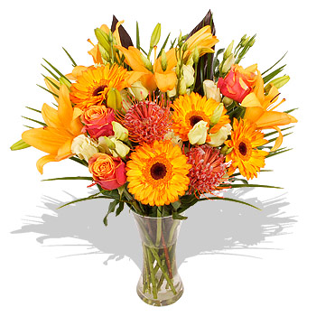 ORANGE Gift Wrap with FREE Bulbs - flowers