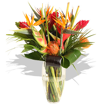 ORANGE Paradise - flowers