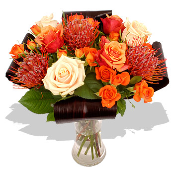 ORANGE Sunset - flowers