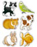Orchard Toys Pets Puzzle