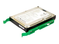 origin Storage hard drive - 500 GB - IDE