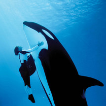 Fun Pass Plus - Adult 2010