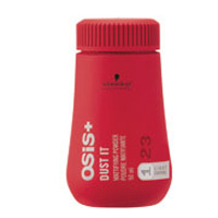 Creatives - Dust It Mattifying Power 10gm