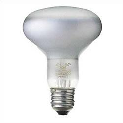 osram Reflector Spot Light 60w R80 ES