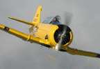 Other Experiences 50 Minute Warbird Flight