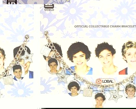 One Direction Ex Tour Brands Bracelet