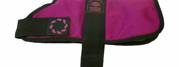 Outhwaite Padded Dog Coat, 14-inch, Raspberry