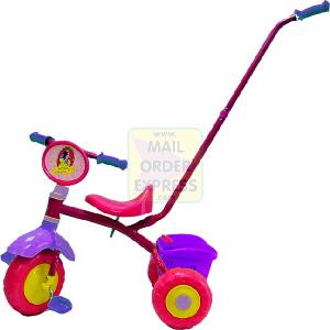 Little Princess Trike Parent Pole