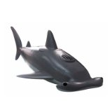 Am/Fm Hammerhead Shark Radio