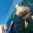 Aquarium with Transfers from South Majorca