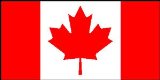 Pams Flag - Paper 6in x 4in (pack of 6, on stick) - Canada