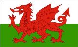 Pams Welsh Flag (3ft x 2ft)