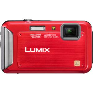 PANASONIC DMCFT20EBR