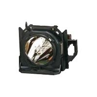 panasonic ET LAD10000F - Projector lamp (pack of