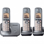 Panasonic KXTG6613