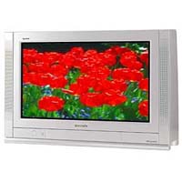 PANASONIC TX28PL4C
