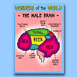 PaperHouse The Male Brain