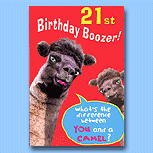 Birthday Boozer 21