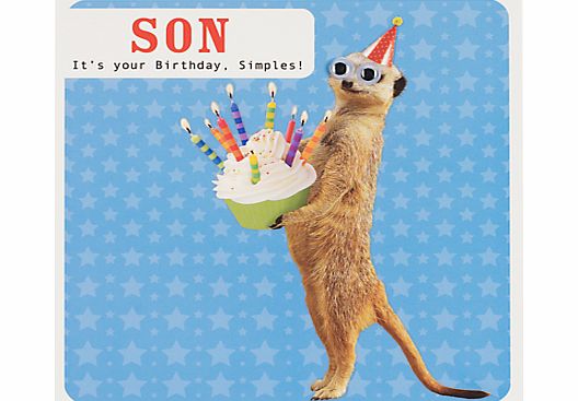 Paperlink Meerkat Son Birthday Card