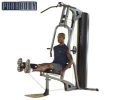 GS1 Multigym