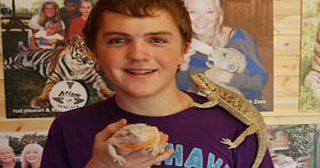 Paradise Wildlife Park Visit and Reptile and Bug