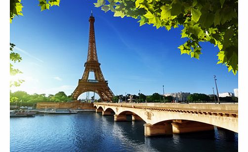 Paris Dinner Cruise and Lido Show