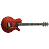 Parker Guitars PM-24V - Flame Cognac