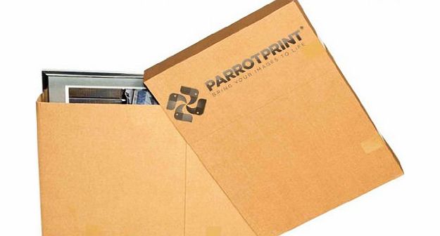 LARGE ORIENTAL CANVAS ART BIRDS PLUM BLOSSOM PAINTING A1