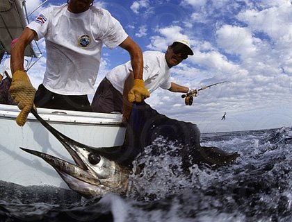 Party Boat Fishing Party and Sport Fishing