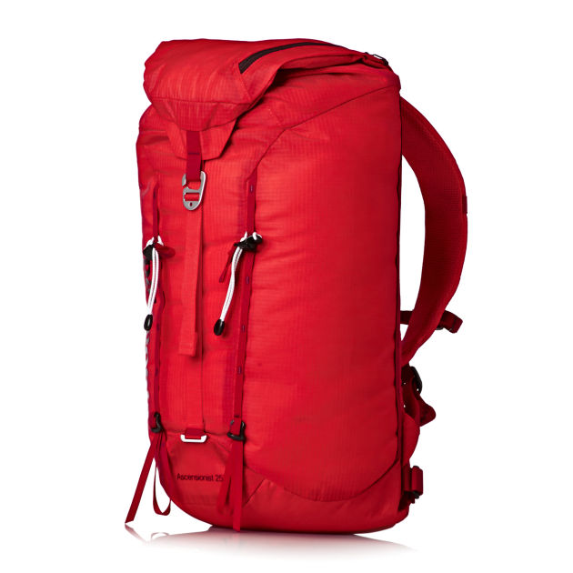 Patagonia Ascensionist Pack 25 Backpack - French