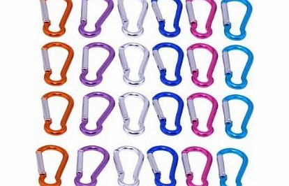 Patuoxun 24PCS Mixed Colour Carabiner stainless Camp Spring Snap Clip Keychain Hook for Camping Climbing Hiking