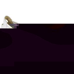 Female Sni500 Leather Upper Leather Lining Casual in White